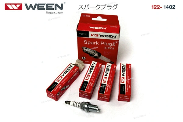Spark Plug