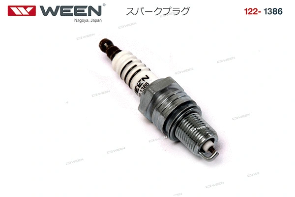 Spark Plug