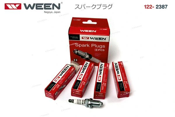 Spark Plug