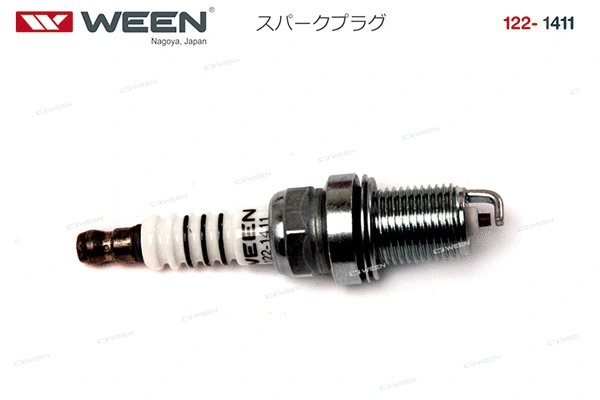 Spark Plug