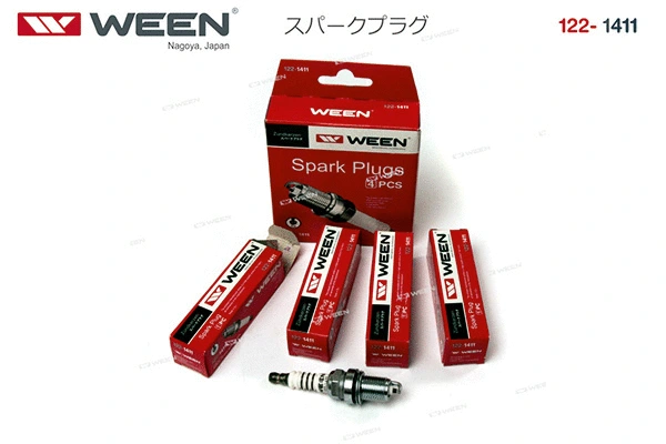 Spark Plug