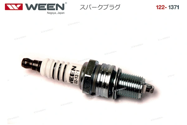 Spark Plug