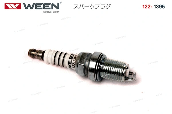 Spark Plug