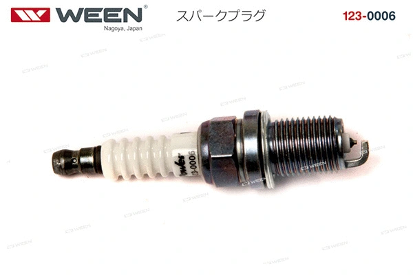 Spark Plug