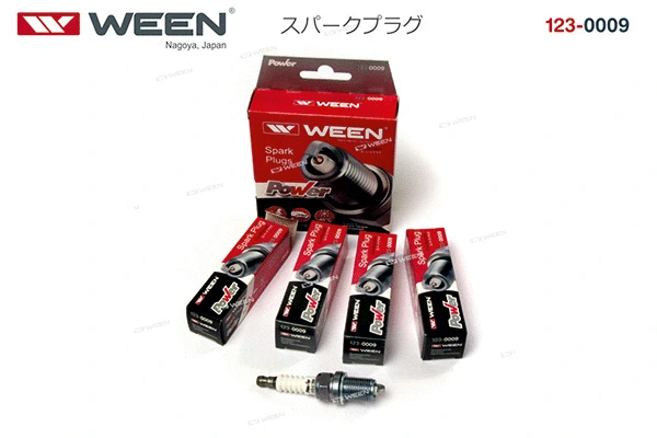 Spark Plug