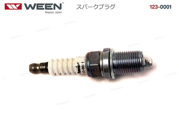 Spark Plug