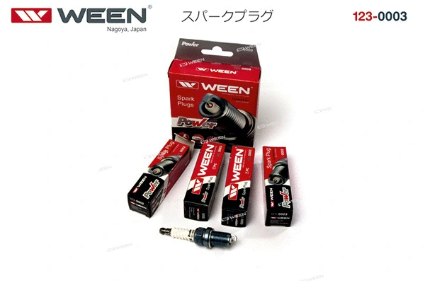 Spark Plug
