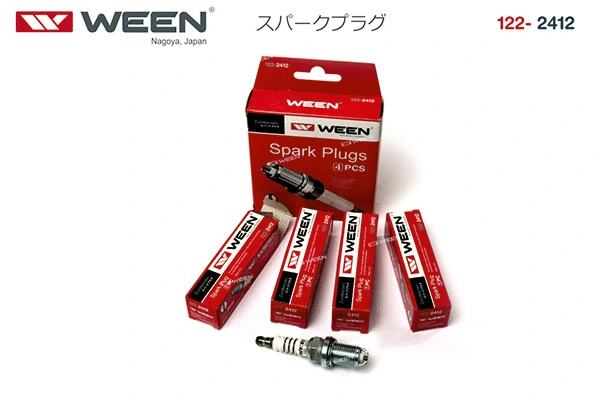 Spark Plug