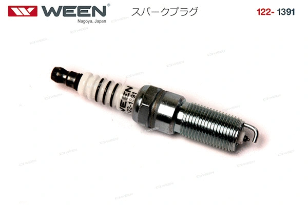 Spark Plug