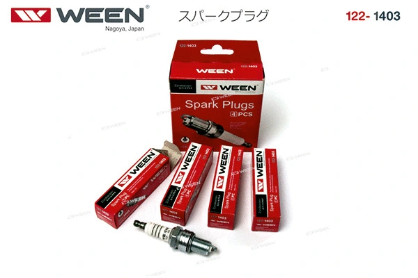 Spark Plug