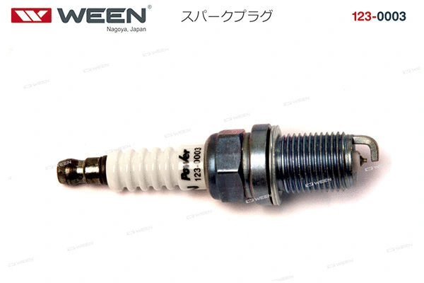 Spark Plug