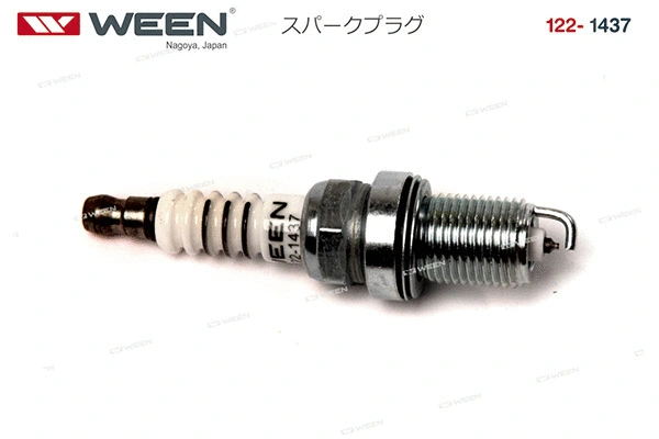 Spark Plug