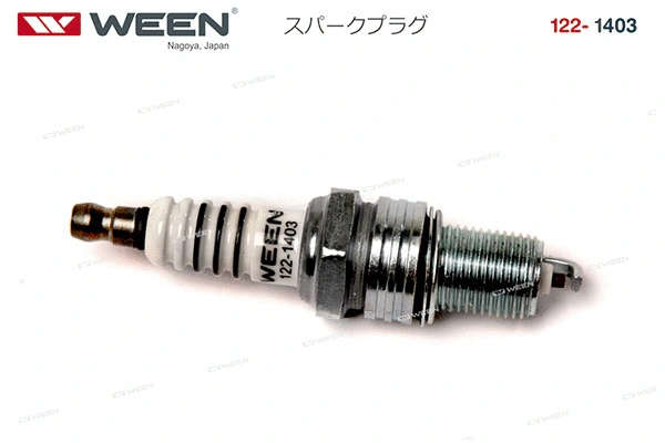 Spark Plug
