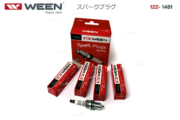 Spark Plug