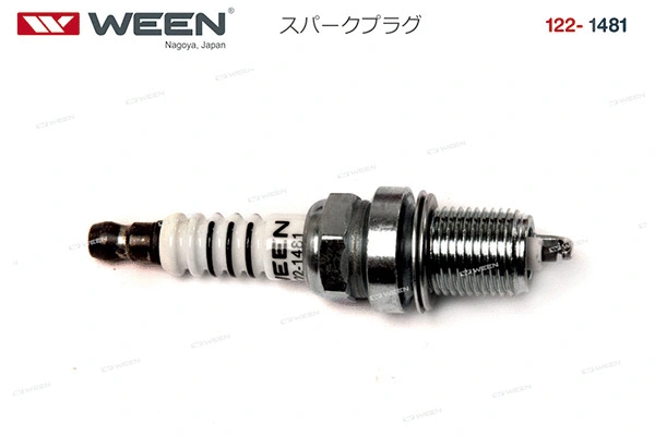 Spark Plug
