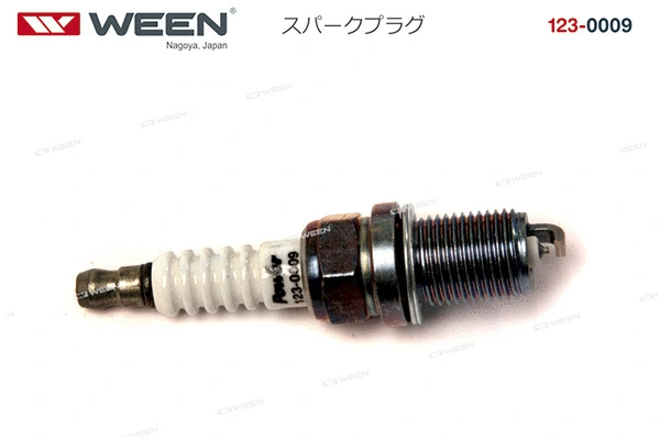 Spark Plug (123-0009)
