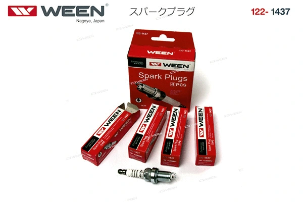 Spark Plug