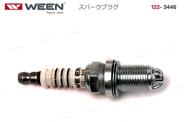 Spark Plug