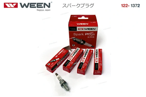 Spark Plug
