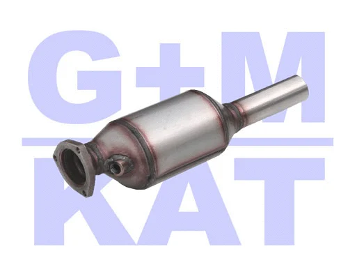 Conversion Catalytic Converter (80 0119D3)
