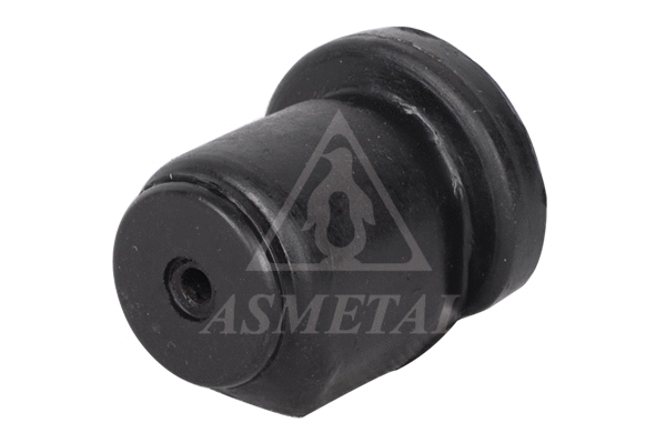 Mounting, control/trailing arm (38VW1005)