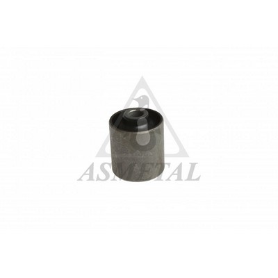 Bushing, axle beam (38FI5100)
