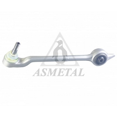 Control/Trailing Arm, wheel suspension (23BM0300B)