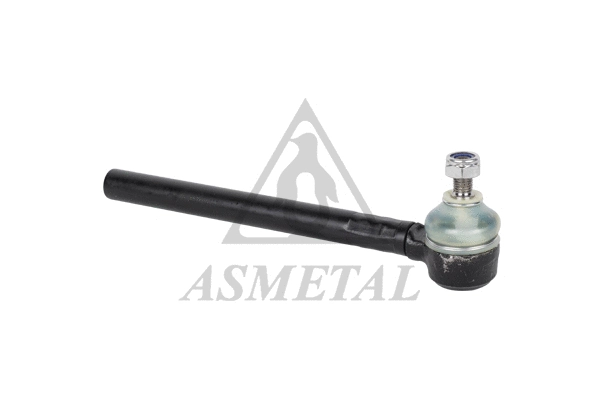 Tie Rod End (17FI0500)