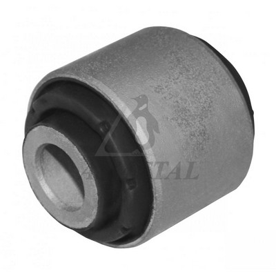 Mounting, control/trailing arm (38AU1221)