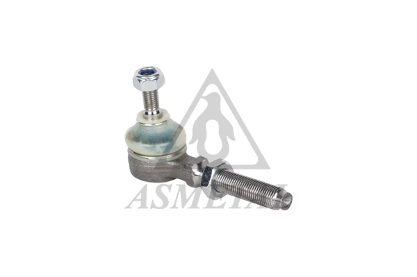 Tie Rod End (17RN1000)
