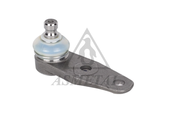 Ball Joint (10RN2001)