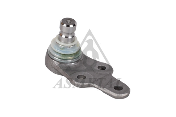 Ball Joint (10FR0505)