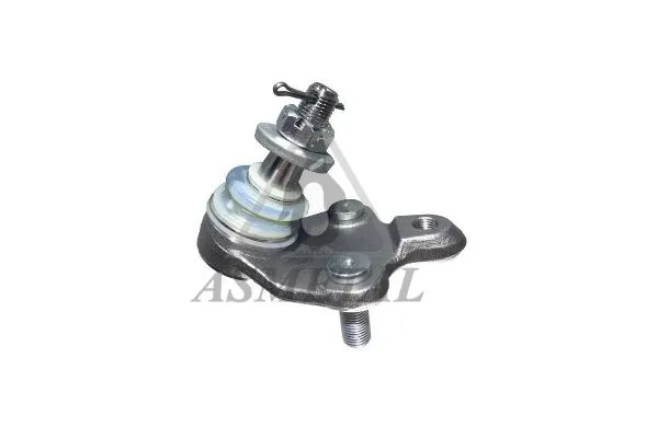 Ball Joint (10TY3000)