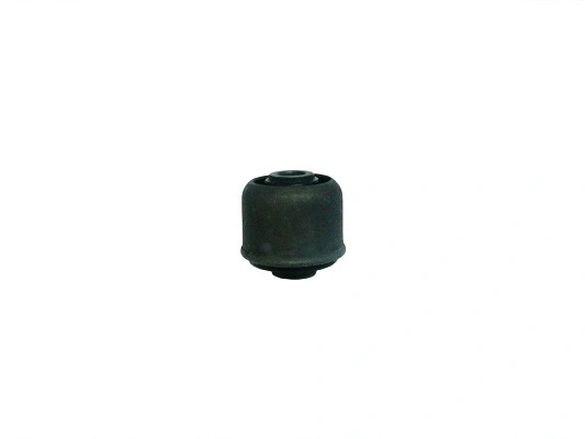 Mounting, control/trailing arm (38RN5543)