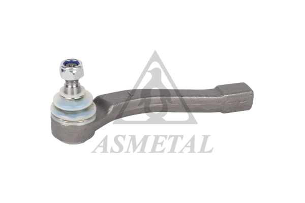 Tie Rod End (17SY0100)