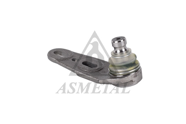 Ball Joint (10AU01)
