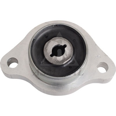 Mounting, control/trailing arm (38MR0817)
