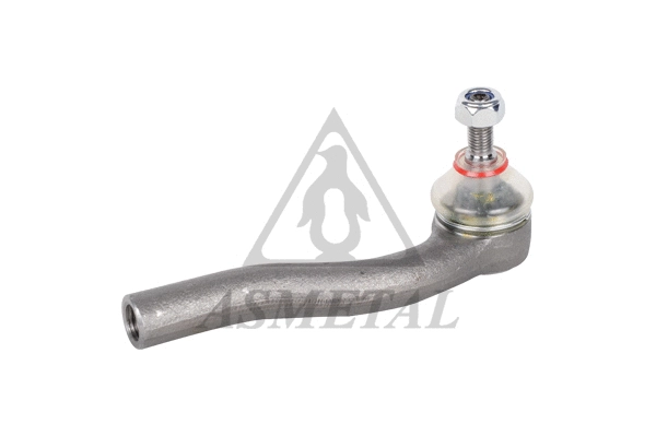 Tie Rod End (17FI5500)
