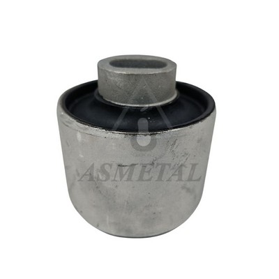 Mounting, control/trailing arm (38MR3232)