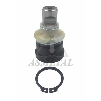Ball Joint (10CR1000)