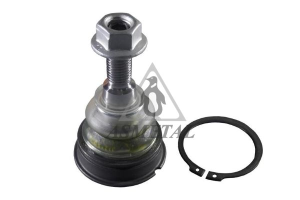 Ball Joint (10VW1300)
