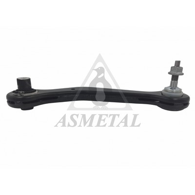 Control/Trailing Arm, wheel suspension (30BM0601)