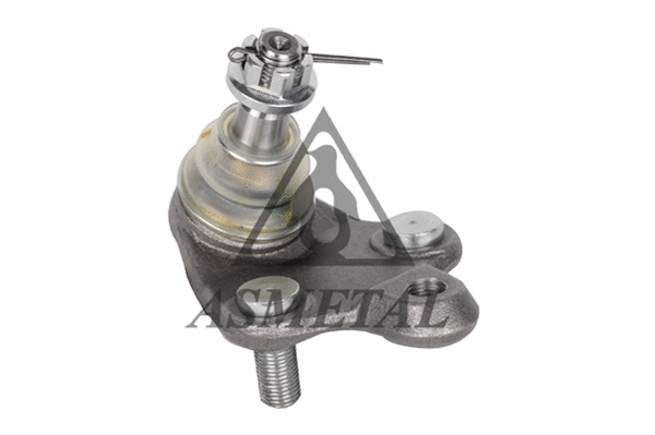 Ball Joint (10TY0200)
