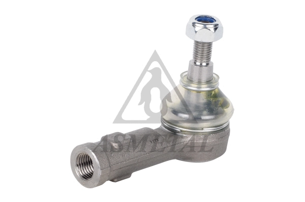 Tie Rod End (17FI3100)