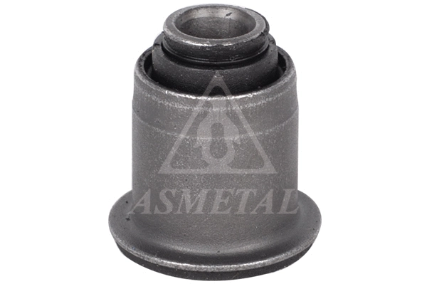 Mounting, control/trailing arm (38RN5541)