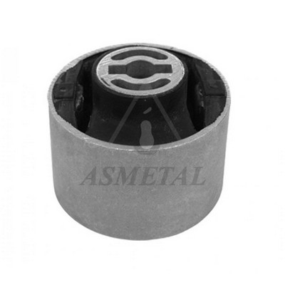 Mounting, control/trailing arm (38OP2076)