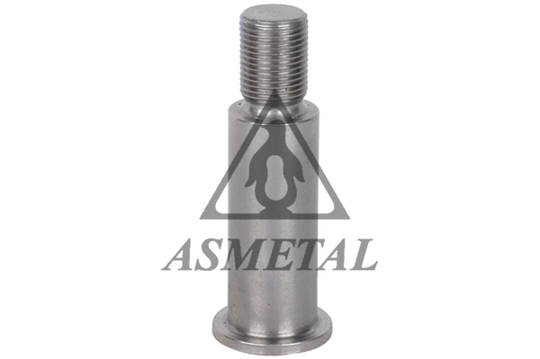 Bearing Journal, tensioner pulley lever (99MR40)