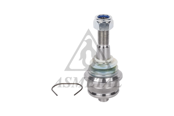 Ball Joint (10VW36)