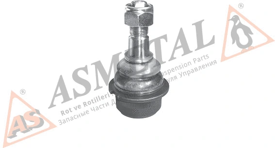 Ball Joint (10VW3010)