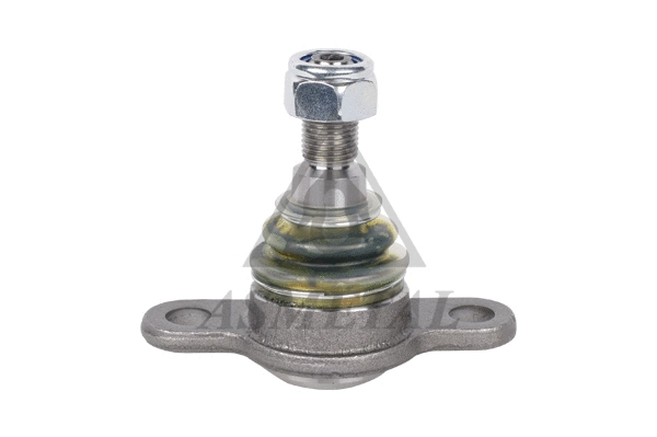 Ball Joint (10VW41)